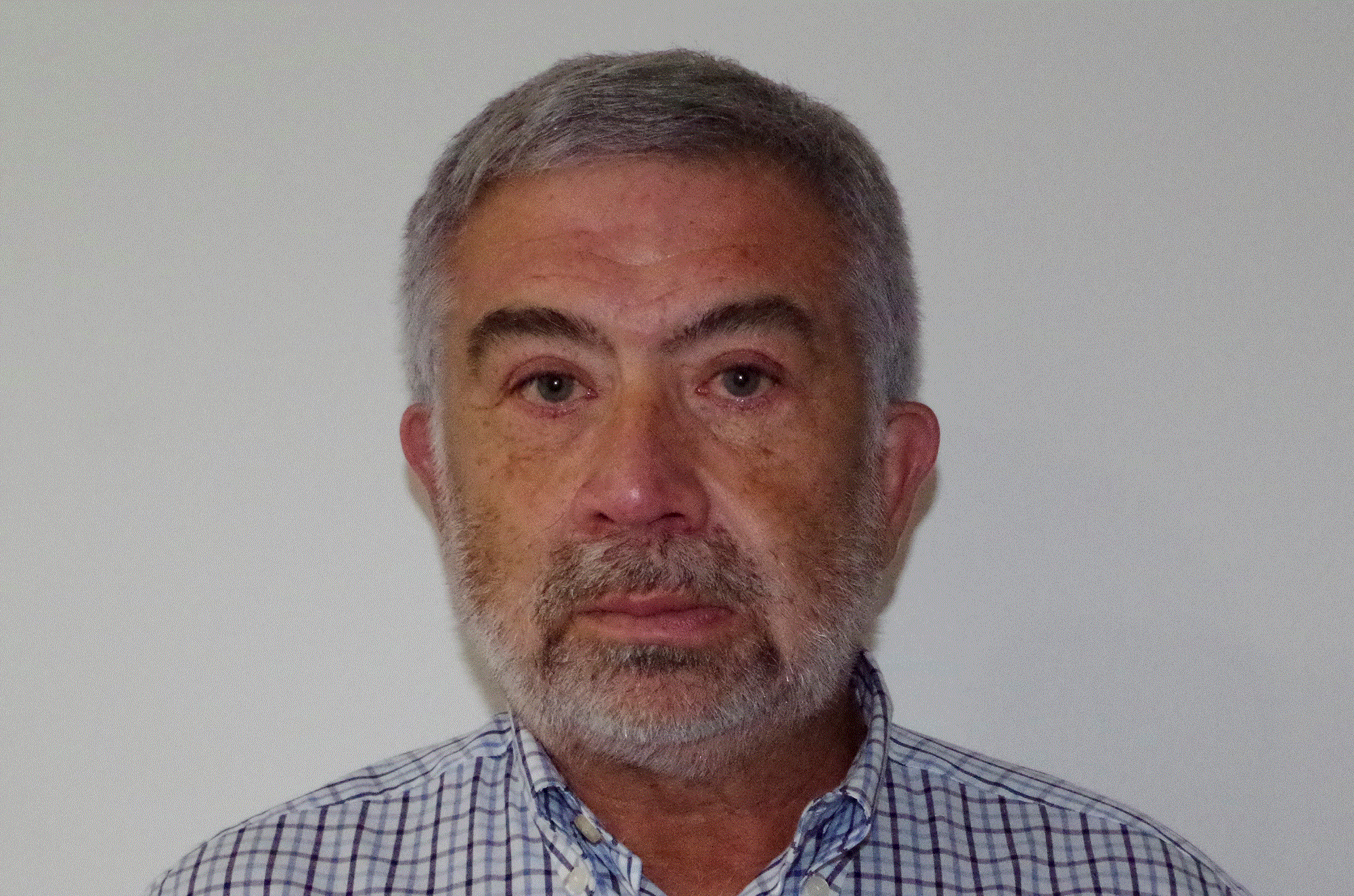 Mentor image